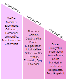 Autoduft Car Air Freshener, Classic anthracite Duft: Cold water