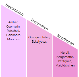 LEGNI & FIORI ARANCIO Millefiori Duftdiffuser 250ml, Natural Fragrances,