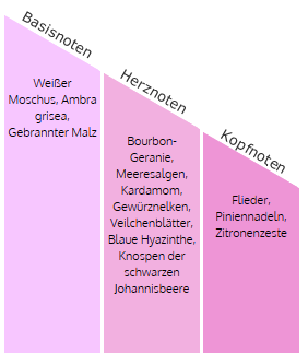 Autoduft Car Air Freshener, CLASSIC SCHWARZ, Duft Oxygen